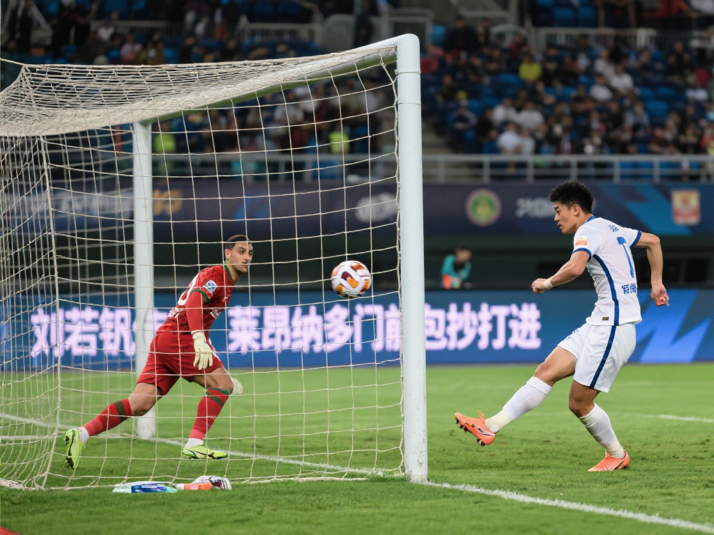 无论你是想 无论你是想